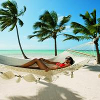 Отзыв от Елизавета - DTV виза